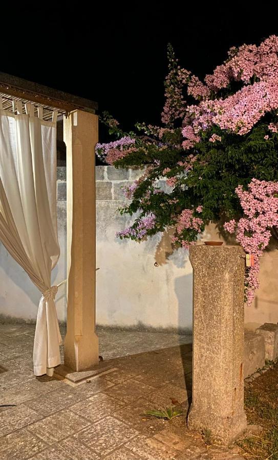 קרפיניאנו סלינטינו Masseria Montanari מראה חיצוני תמונה
